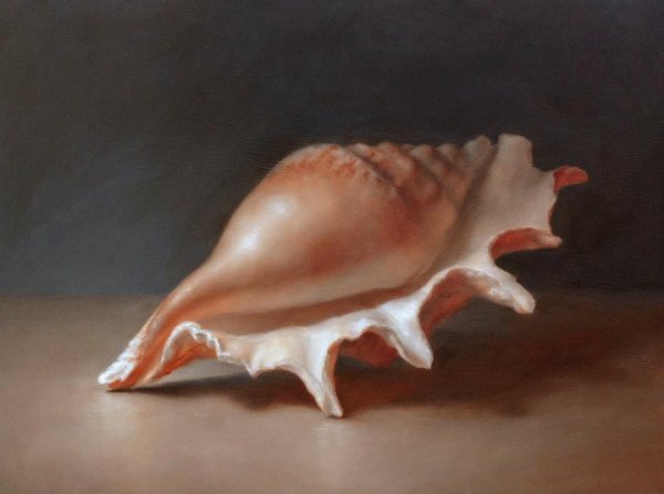 Ракушки в живописи