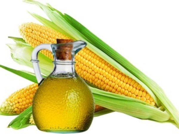 Кукурузное масло на белом фоне