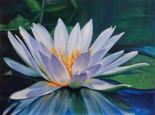 Лилия водная живопись масло