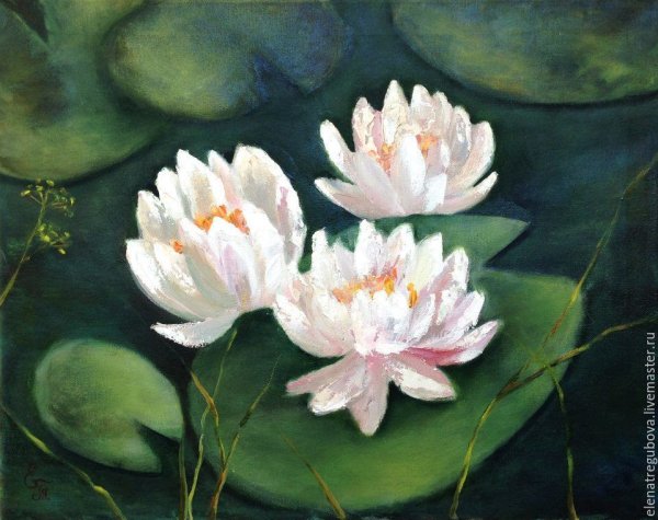 Куинджи кувшинки