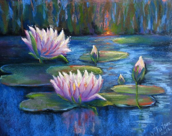 Кувшинки пастелью Елена таткина