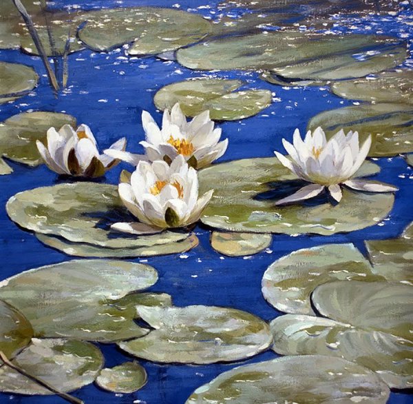Художник Холодовский Михаил водяные лилии