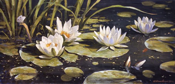 Игорь Радюк художник картины кувшинки