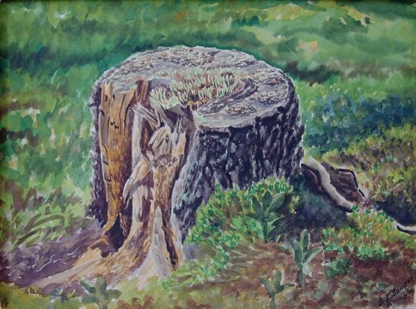 Пень живопись