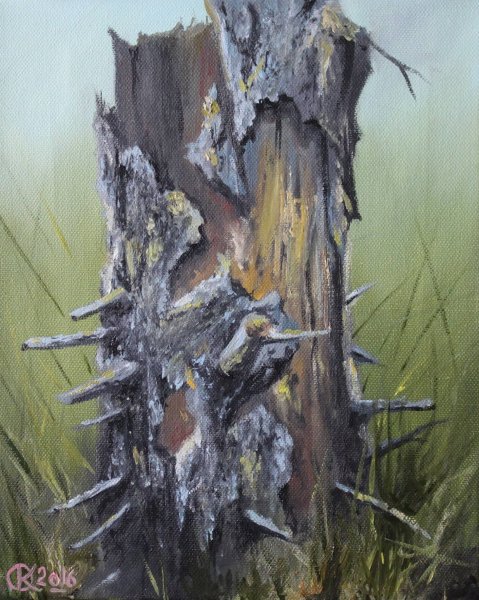 Шишкин кора дерева