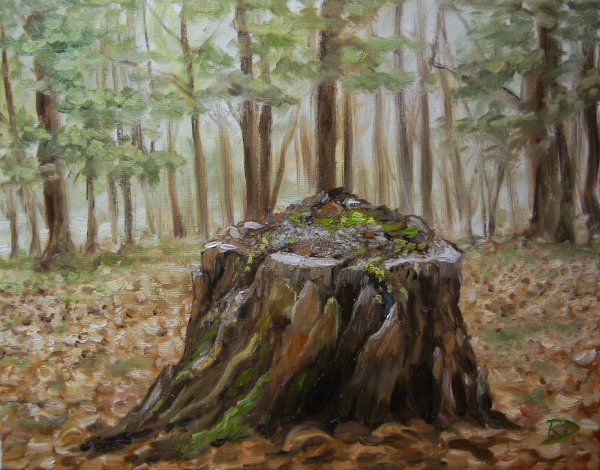 Старый пень в лесу