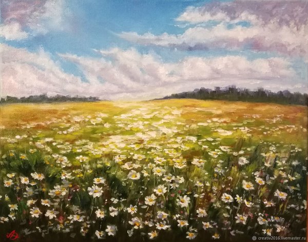 Картина Ромашковое поле художника Волкова Ефима