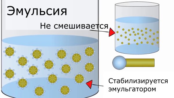 Эмульсия лекарственная форма