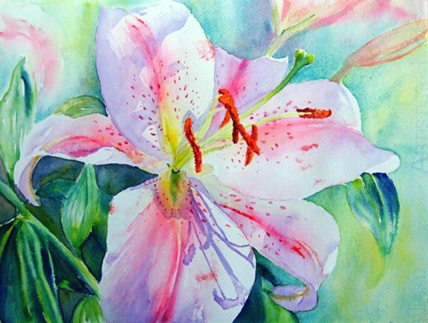 Цветы акварель
