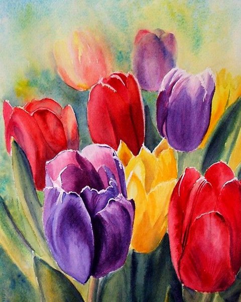 Тюльпаны акварелью