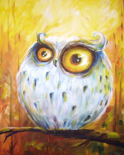 Сова красками