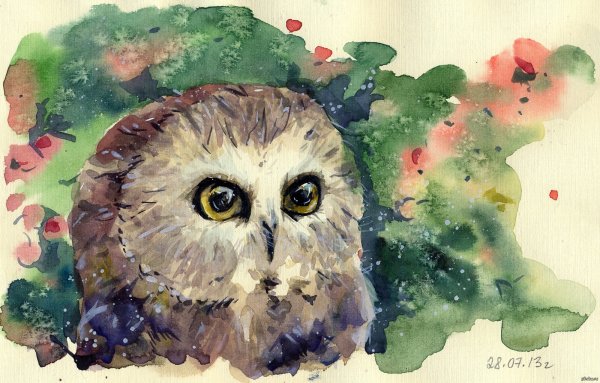 Рисование Совы акварелью