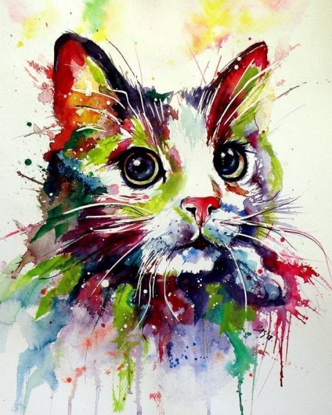 Яркие картины