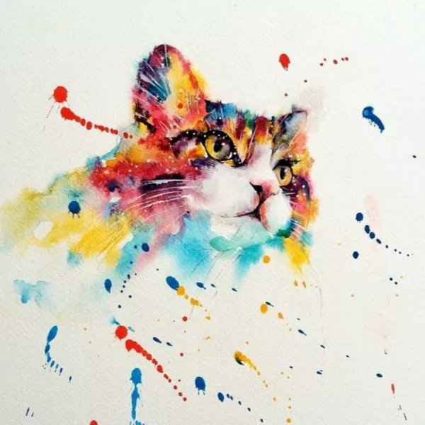 Кот акварелью разноцветный