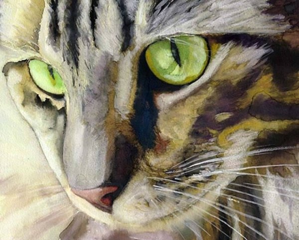 Художник Alex Carter