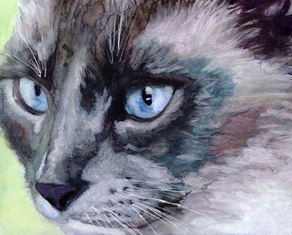 Художник Alex Carter