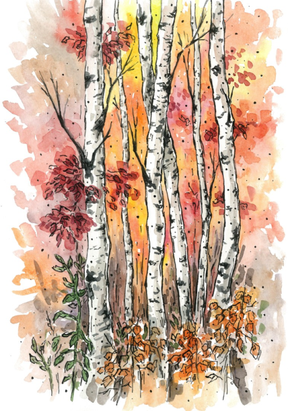 Рисование березы для детей