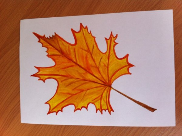 Кленовый лист изо