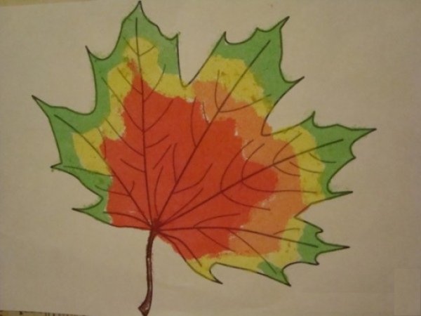 Рисование лист клена в старшей группе