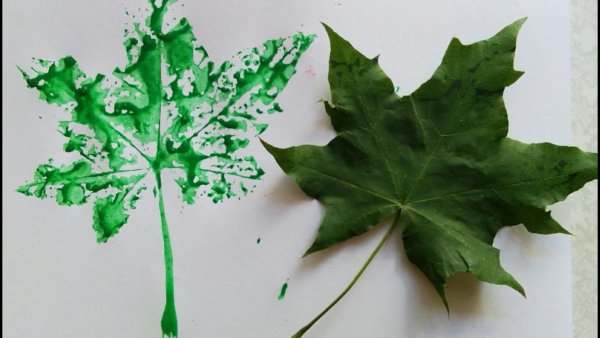 С кленовый лист красками для детей