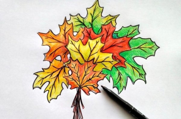 Рисование кленового листа