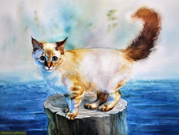 Кошечка акварель