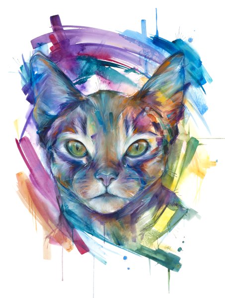 Кот красками