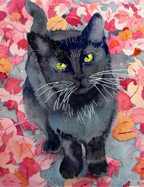 Котик гуашью