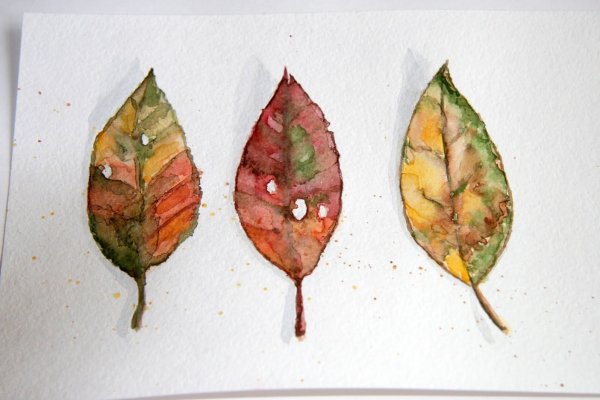 Этюд листьев акварелью