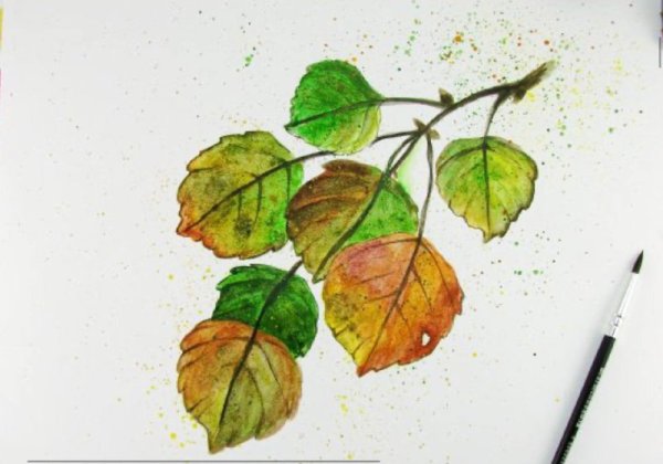 Лист раскрашенный акварелью