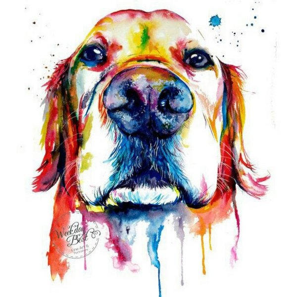 Собака гуашью