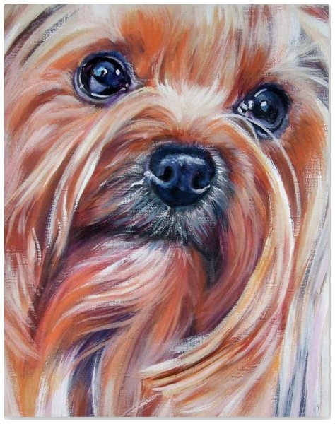 Разноцветные собачки