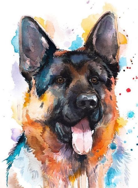 Собака абстракция