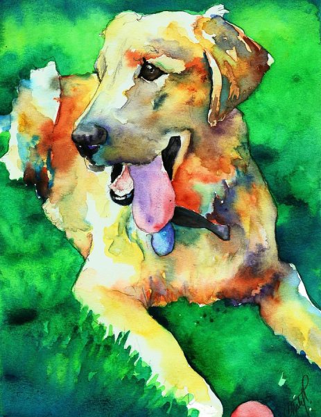 Собака акварелью Бигль