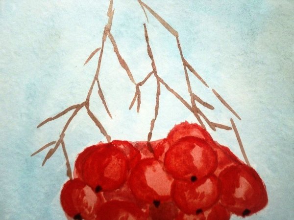 Ветка рябины рисование