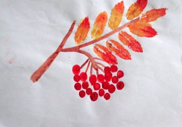 Тема: "ветка рябины".(т.с.Комарова, с.42)