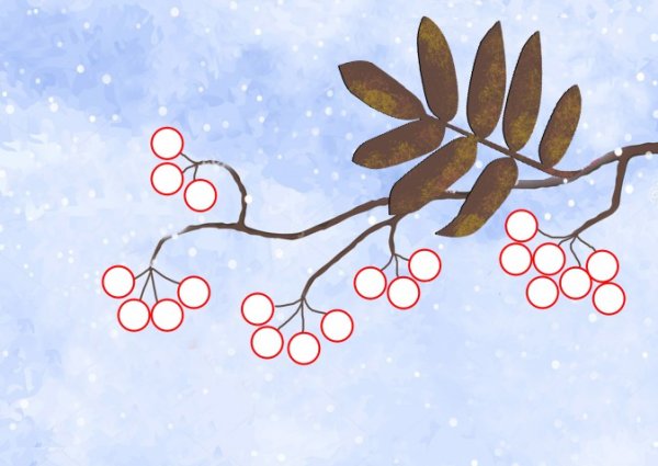 Ветка рябины» (рисование с натуры) (т.с.Комарова, стр.40)