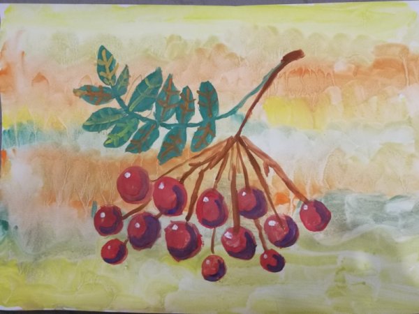 Ветка рябины рисунок