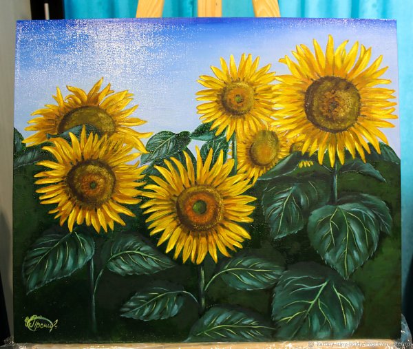 Дашкевич картина подсолнечник