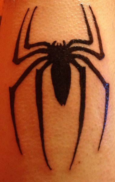 Паук тату легкое
