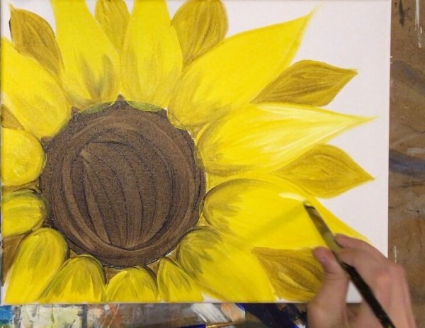 Рисуем подсолнух для детей красками