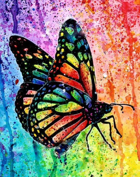 Бабочка арт