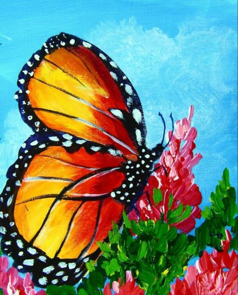 Бабочка красками