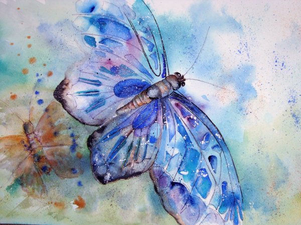 Акварельные рисунки