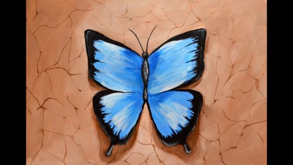 Бабочка красками для начинающих