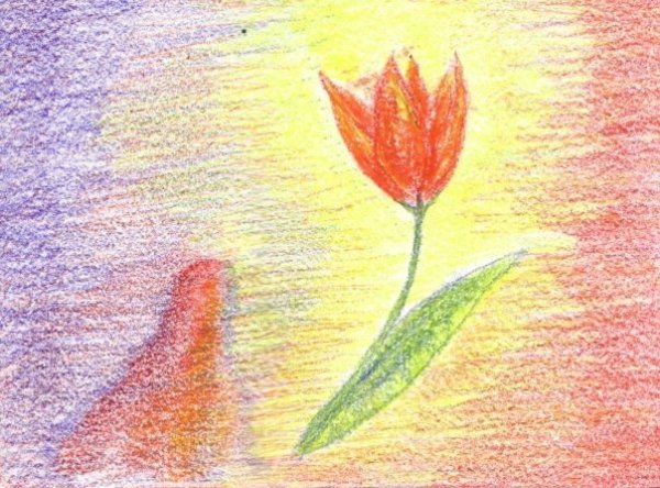 Рисование восковыми мелками