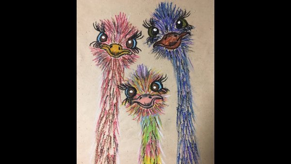 Рисование страуса восковыми мелками