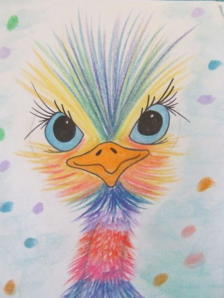 Страус цветными карандашами