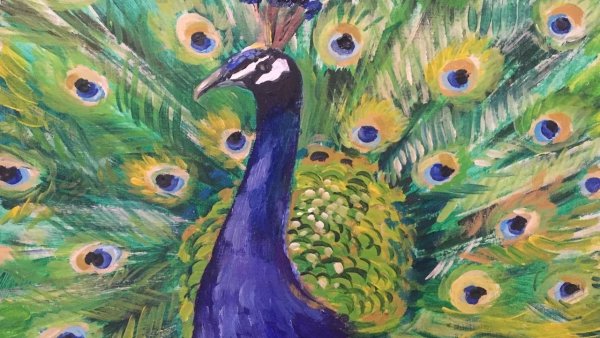 Павлин красками