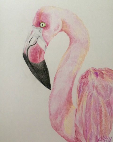 Фламинго красками